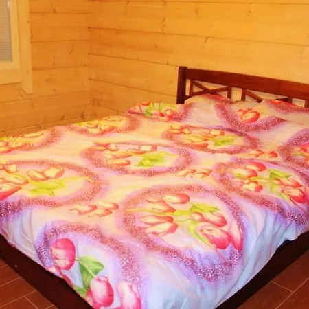 Saimaanhelmi Holiday home *