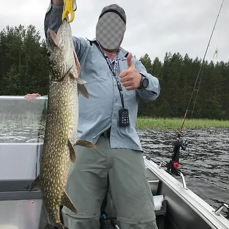Saimaanhelmi *