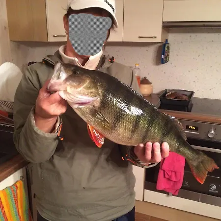 Nyaraló Saimaanhelmi *