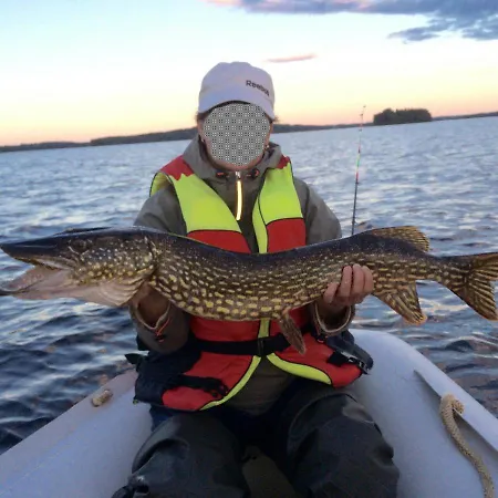 Nyaraló Saimaanhelmi *
